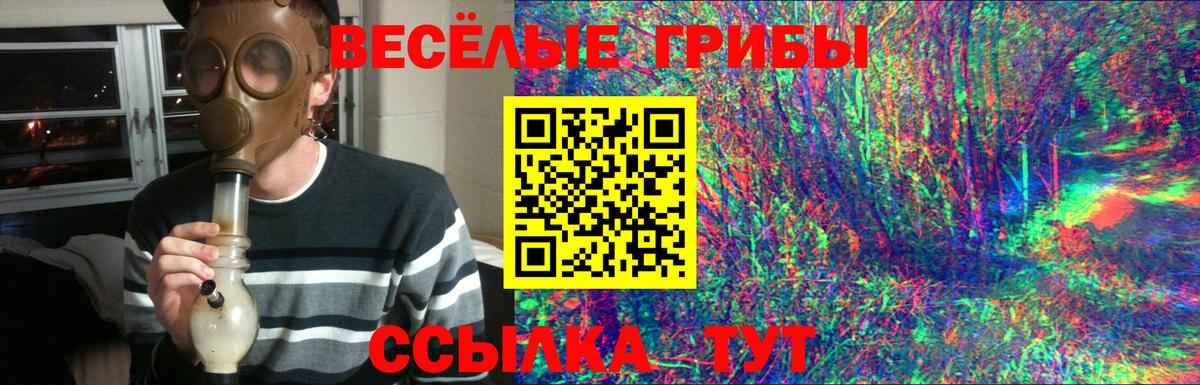Псилоцибиновые грибы Magic Shrooms Мытищи