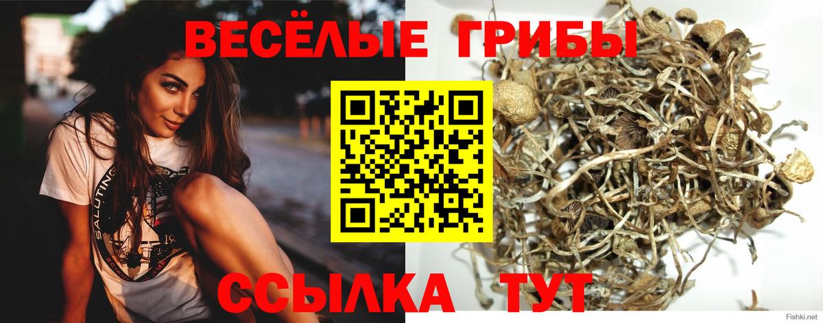 Псилоцибиновые грибы Magic Shrooms  Вход с VPN  Мытищи 
